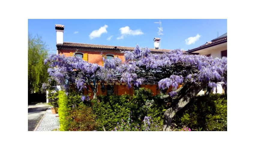 Antica Trattoria Antenore