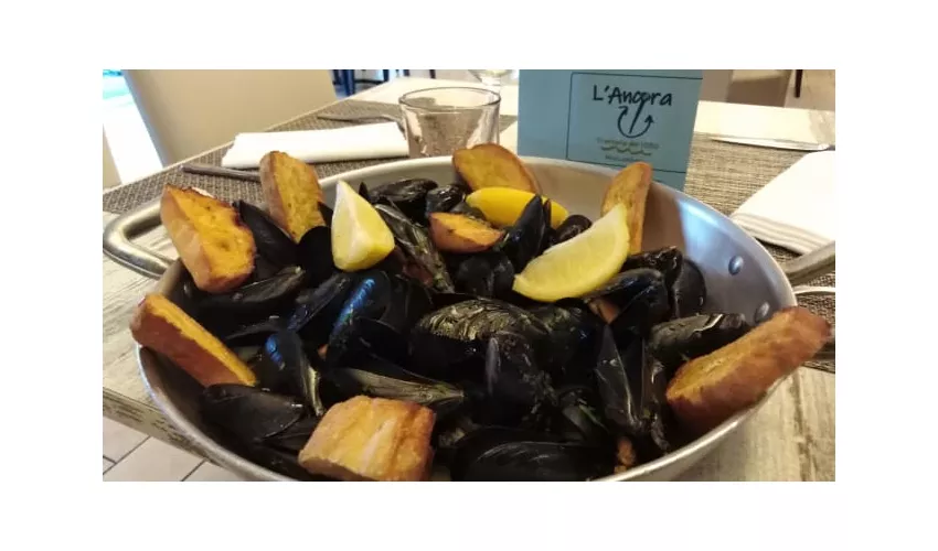 Trattoria l'Ancora