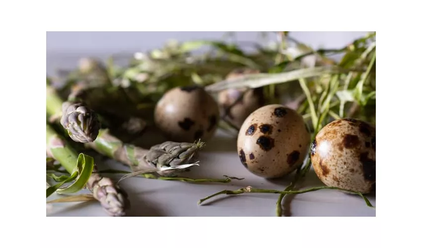 Da Bacco Osteria Gourmet