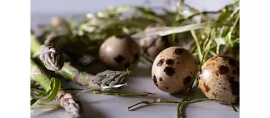 Da Bacco Osteria Gourmet