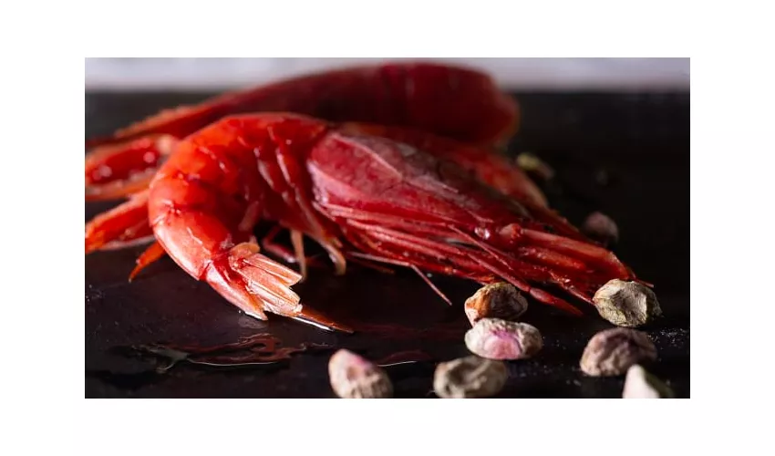 Da Bacco Osteria Gourmet