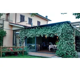 Ristorante il Pinzale