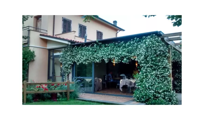 Ristorante il Pinzale