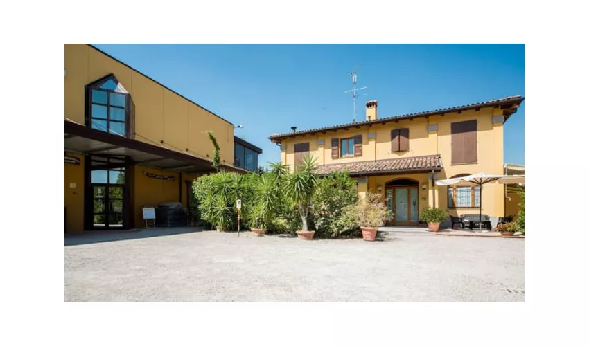 Agriturismo Borgo Delle Vigne
