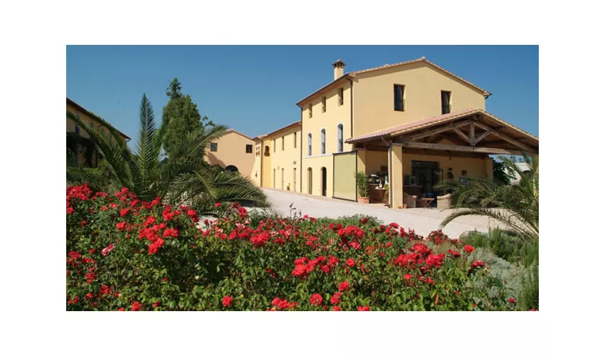 Ristorante L'olivo