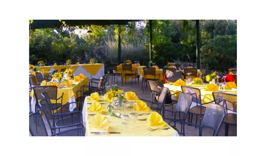 Ristorante L'olivo