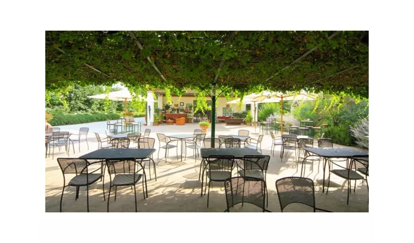 Ristorante L'olivo