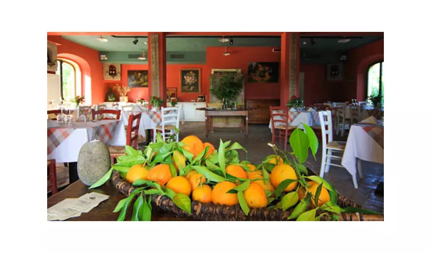 Ristorante L'olivo