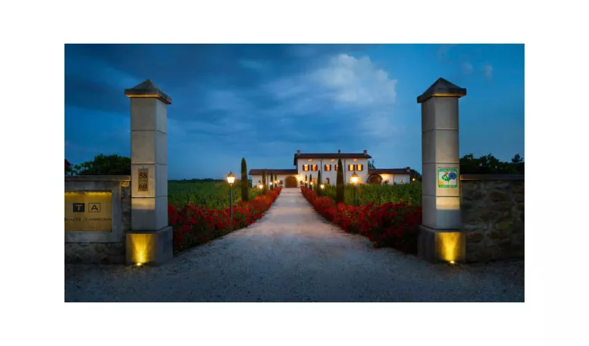 Società Agricola Tenuta Ambrosini Srl