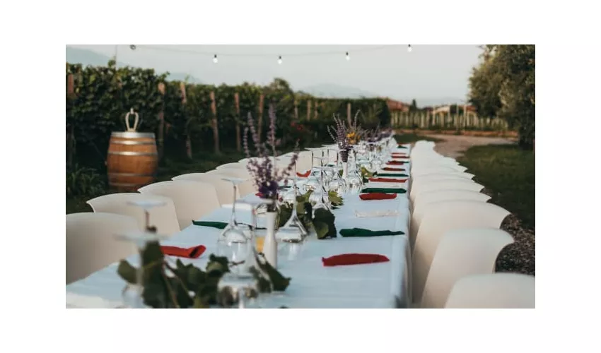 Società Agricola Tenuta Ambrosini Srl