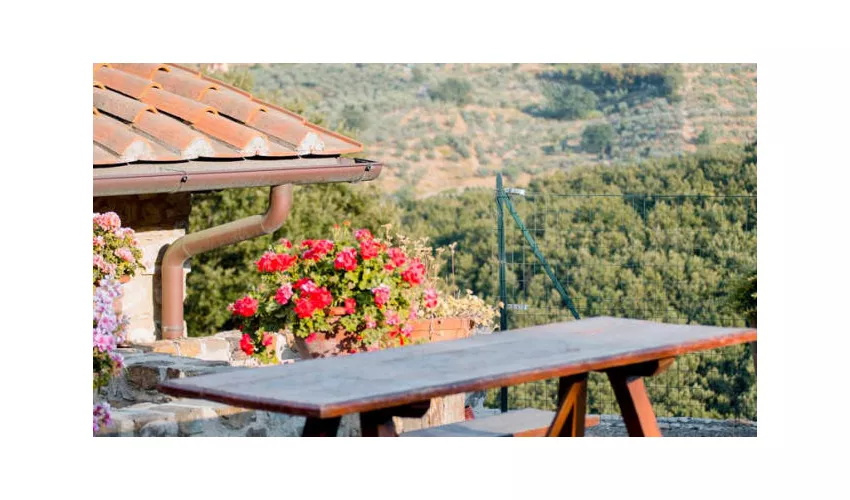 Agriturismo Casa Belvedere