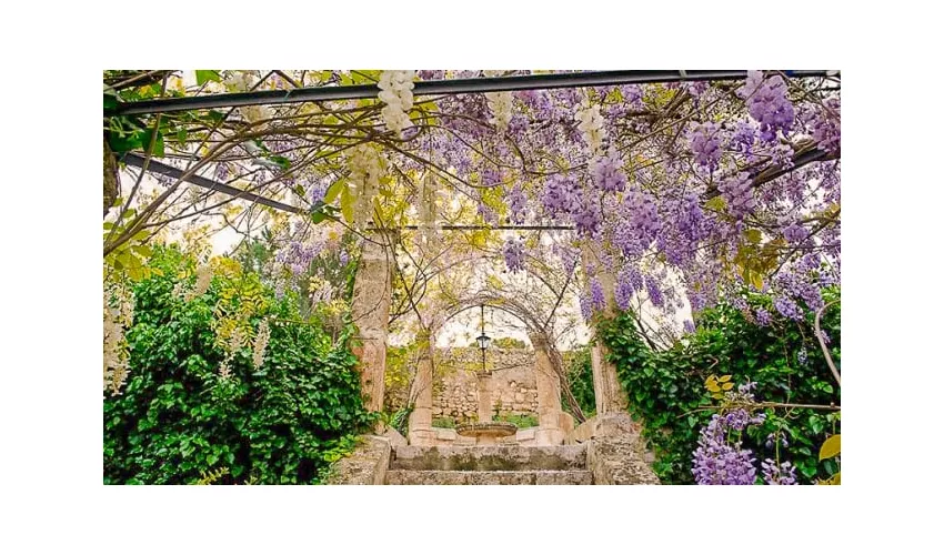 Ristorante Villa degli Aranci