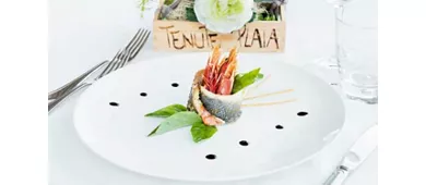 Tenute Plaia Ristorante