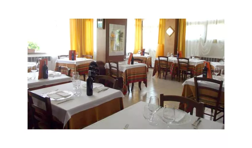 Ristorante IL FUNGO