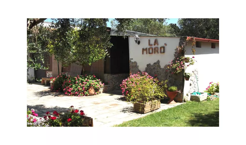 Agriturismo La Morò