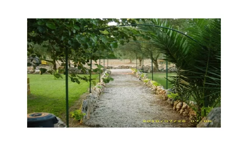 Agriturismo La Morò