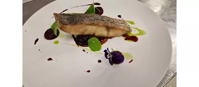 Hotel Garden Experience