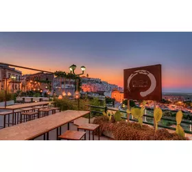 Dish Restaurant