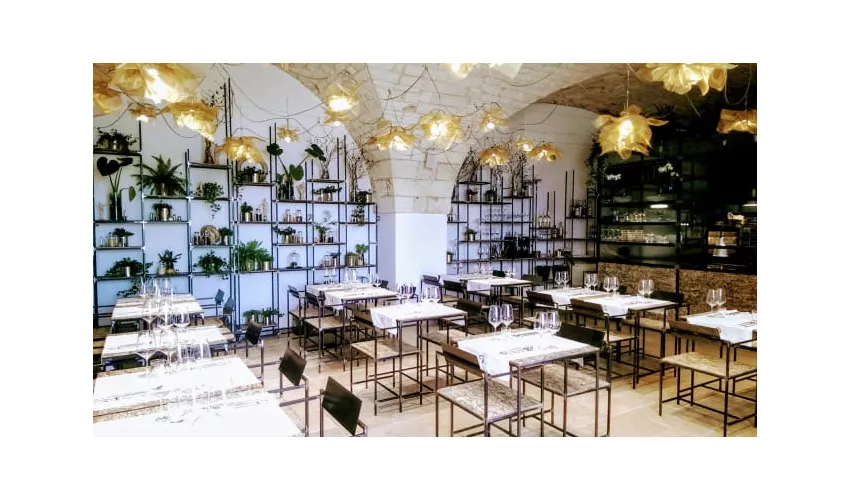 Dish Restaurant