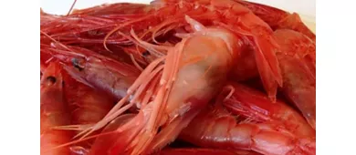 Officina zio pesce Trattoria mediterranea