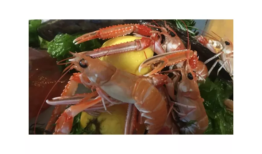 Officina zio pesce Trattoria mediterranea