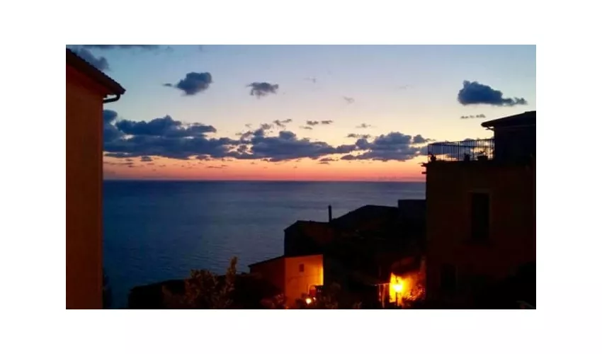 Convivio - Enosteria con l'orto