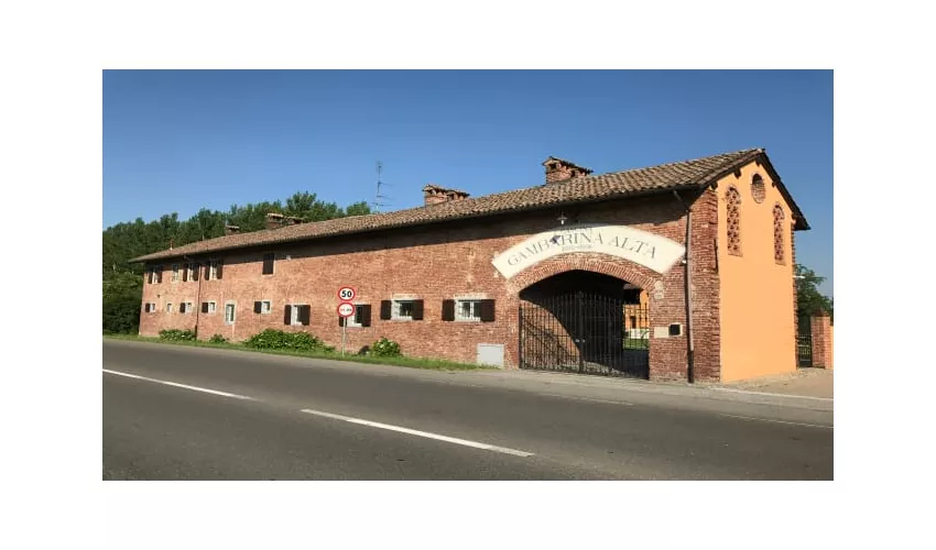 Gambarina Alta