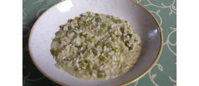 Gambarina Alta
