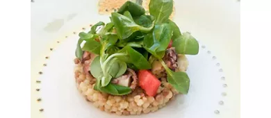 CoccioPesto - Bistrot