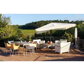 Saladier Vinci Trattoria Dell'Ortolano