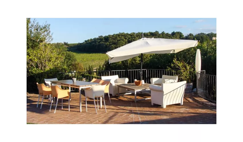 Saladier Vinci Trattoria Dell'Ortolano