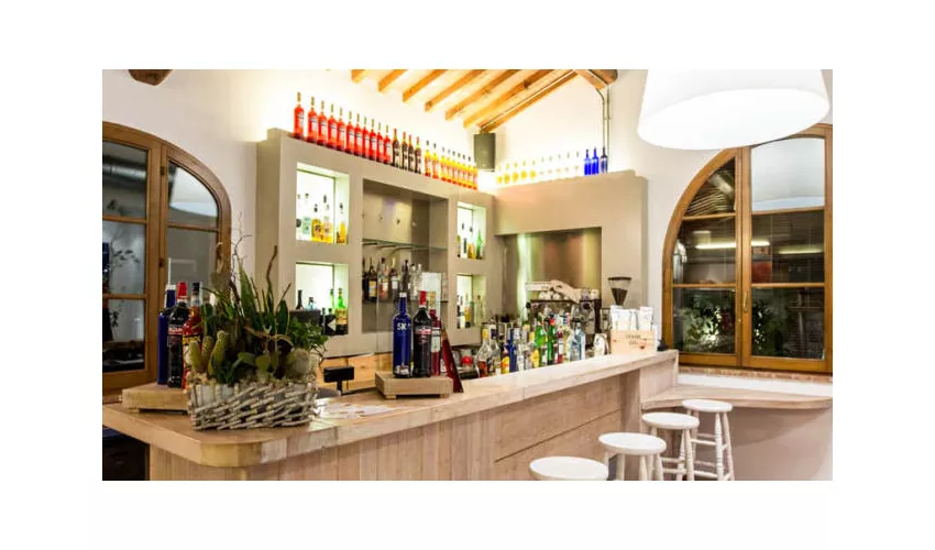 Saladier Vinci Trattoria Dell'Ortolano