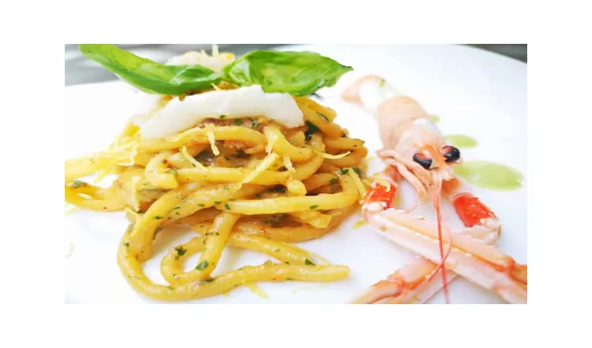 Piccinni 28