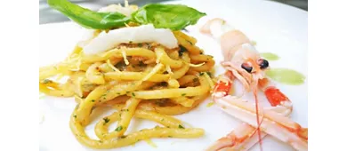Piccinni 28