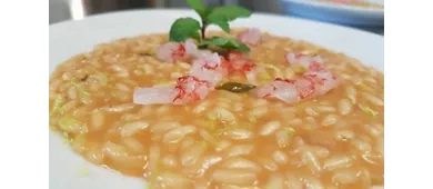 Zagara