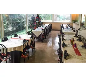Ristorante Pizzeria New Paradise