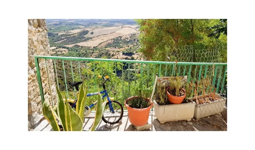 Trattoria Le Lamie