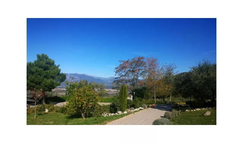 LOCANDA RADICI di Angelo D'Amico