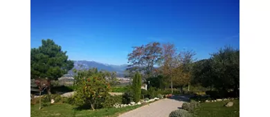 LOCANDA RADICI di Angelo D'Amico