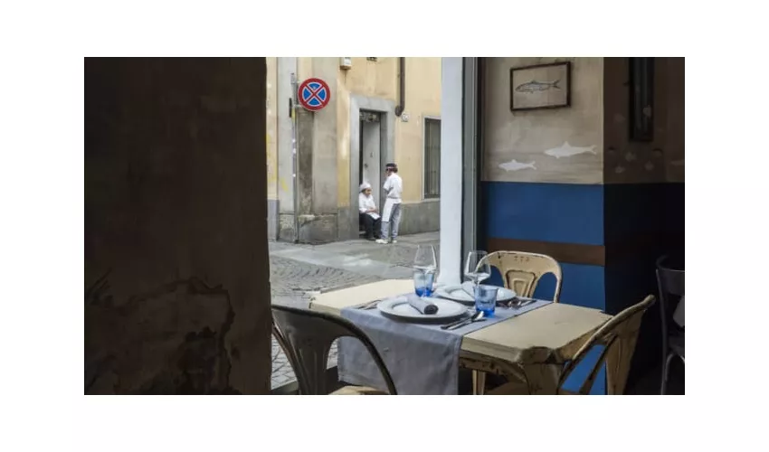Salsedine