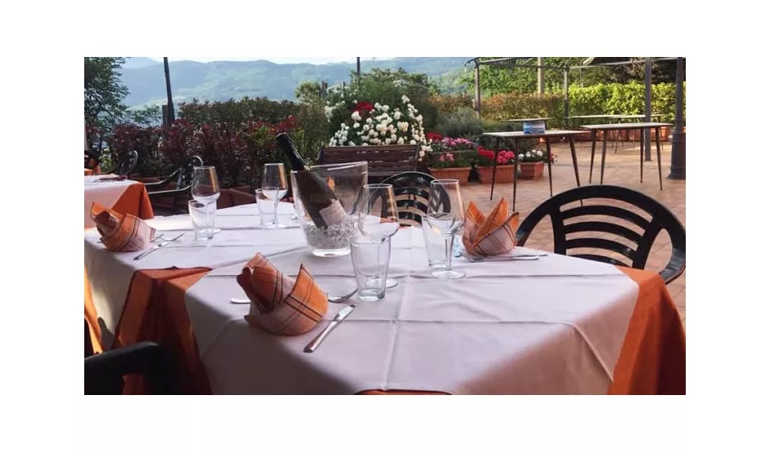Il Signorino
