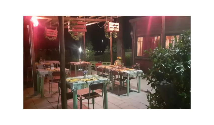Mata Mata