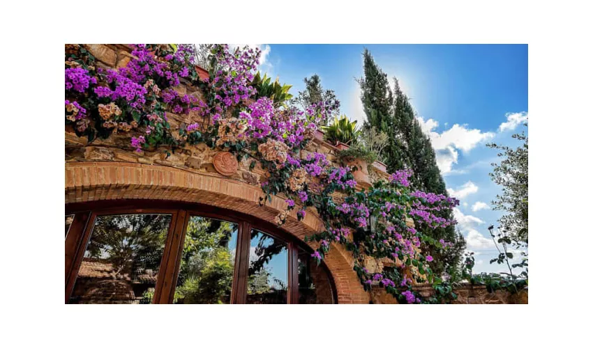 Tenuta San Lorenzo - La Fonte di Vivalda