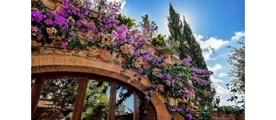 Tenuta San Lorenzo - La Fonte di Vivalda