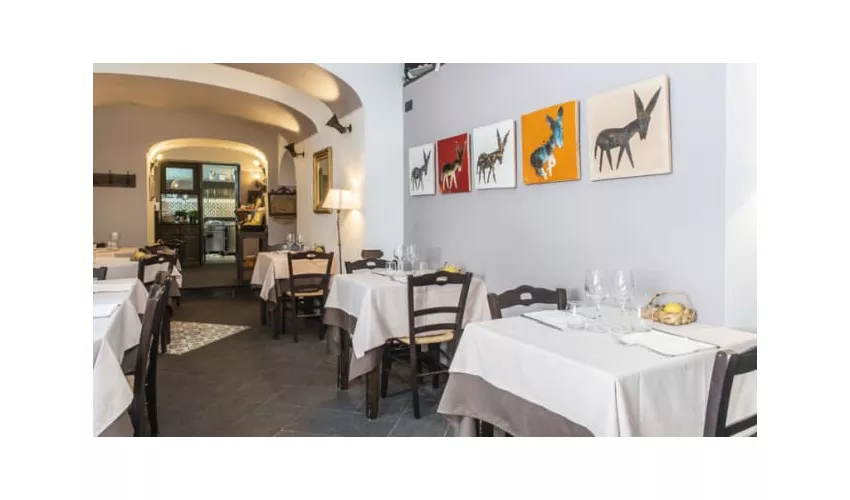 Taverna Buonvicino