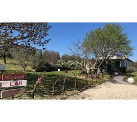 L’Altro Sapore Organic EVO Oil & Restaurant