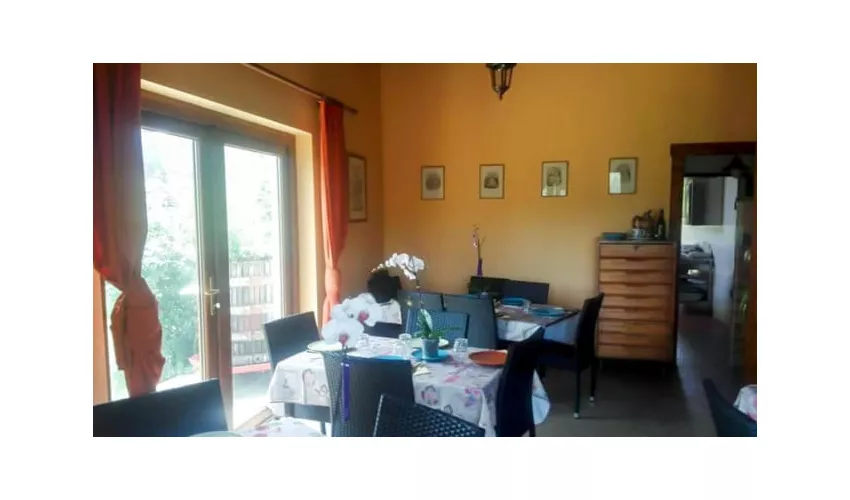 Agriturismo Palombara Sabina | La Matta Fattoria