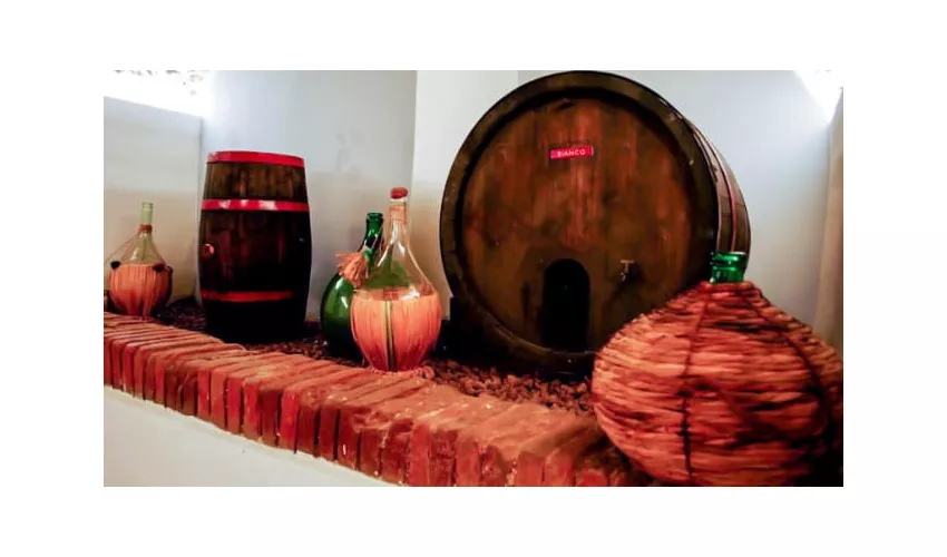 Vigna del Borgo