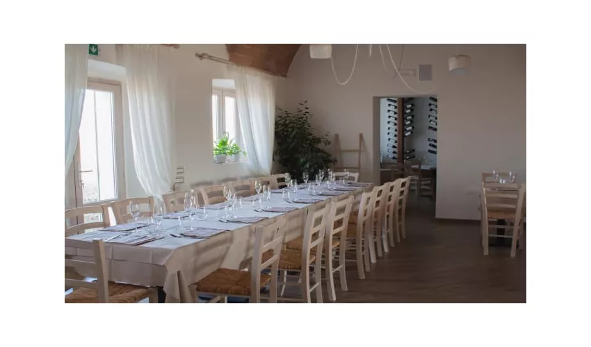 Fattoria L'Olmetto