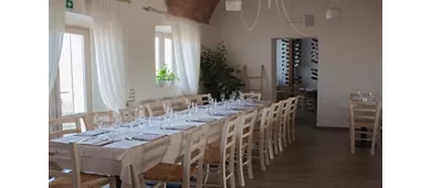 Fattoria L'Olmetto